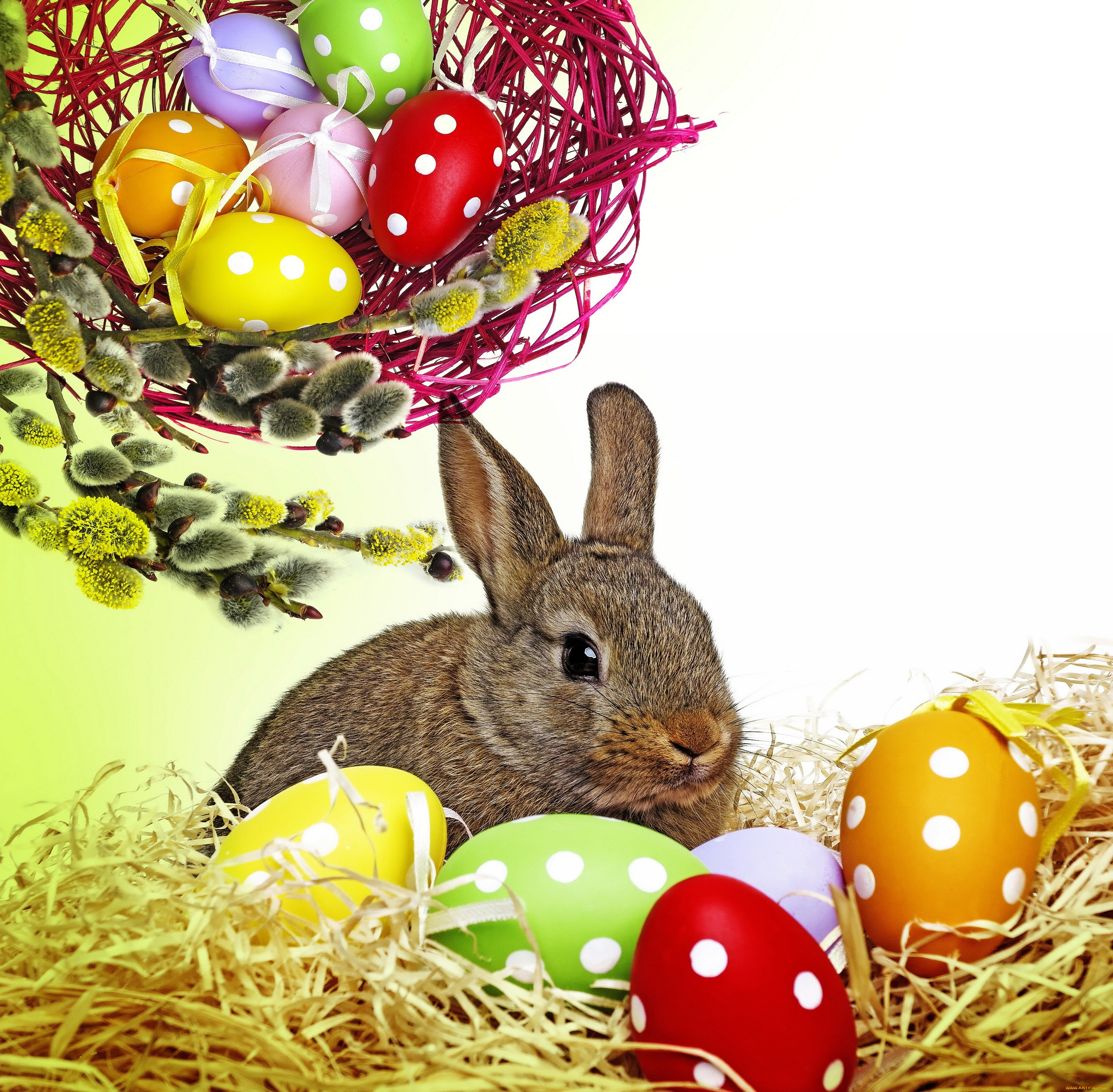 , - , easter, bunny, rabbit, spring, decoration, willow, twig, flowers, eggs, colorful, , , , , , , , , , 